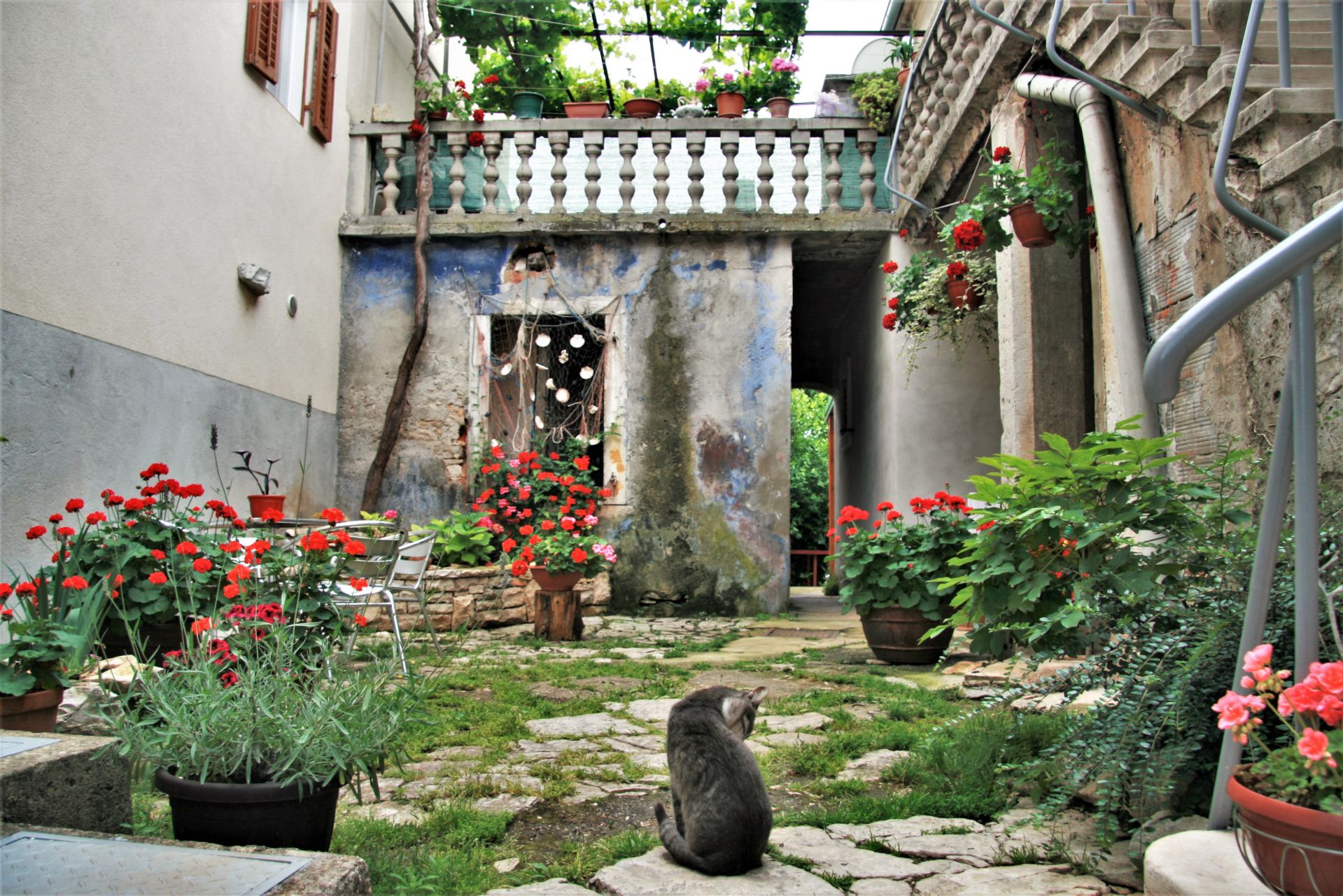 Istria places Fazana courtyard