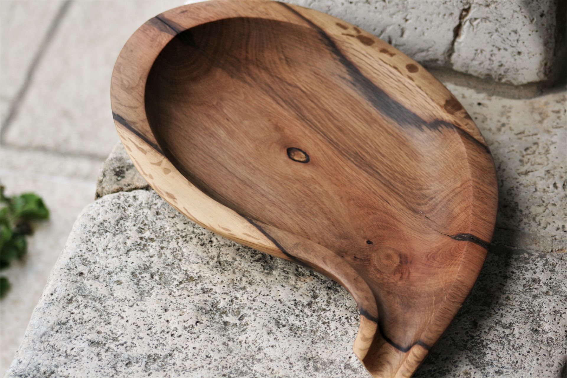 holm oak wood unique handmade bowl / platter sanisio design
