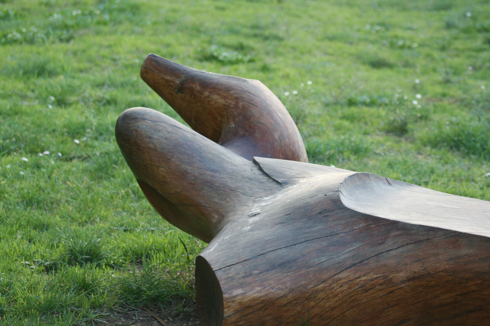 public areas bench Valbandon detail holm oak wood