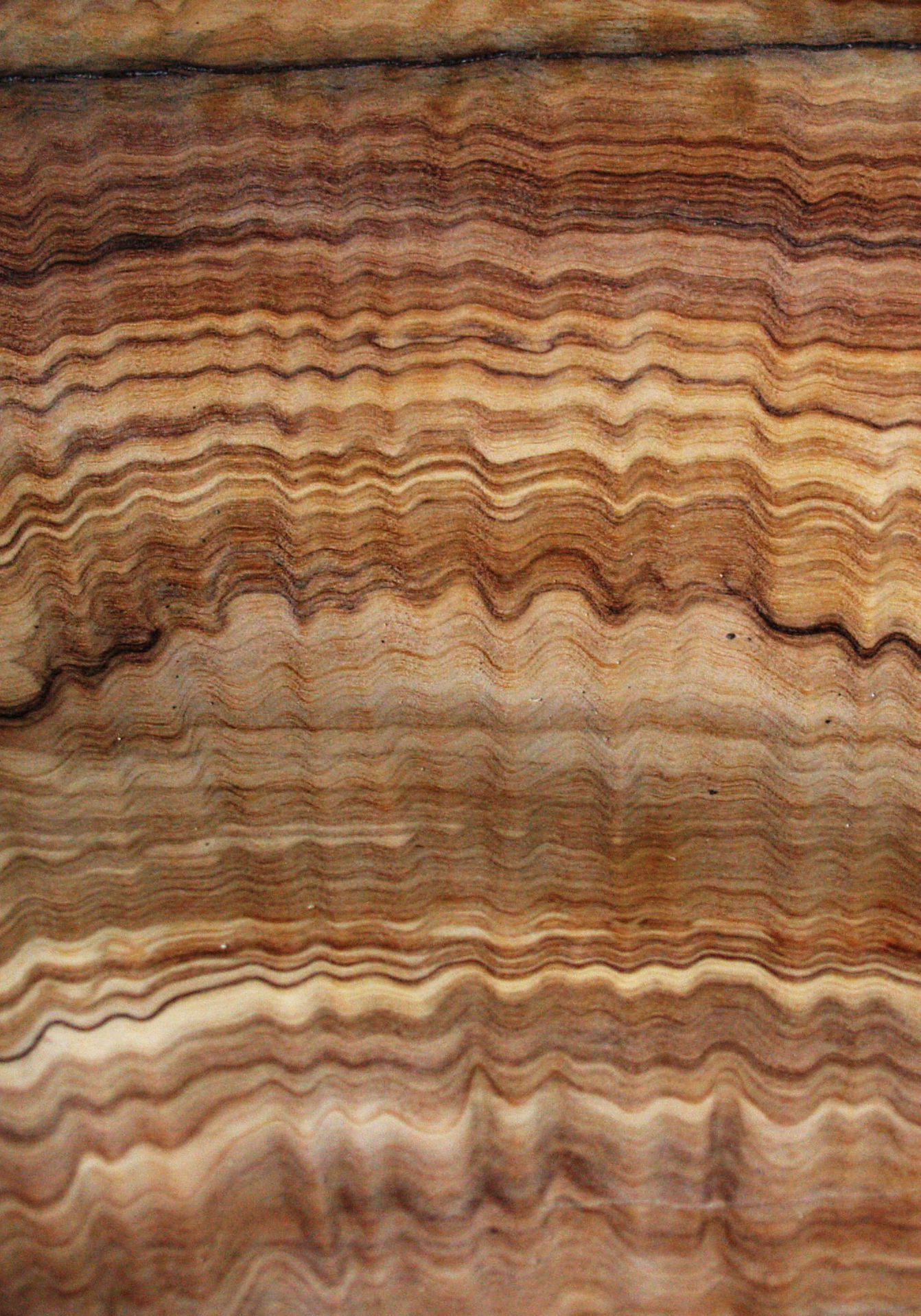Olive wood. The most commonly used sort of wood for 