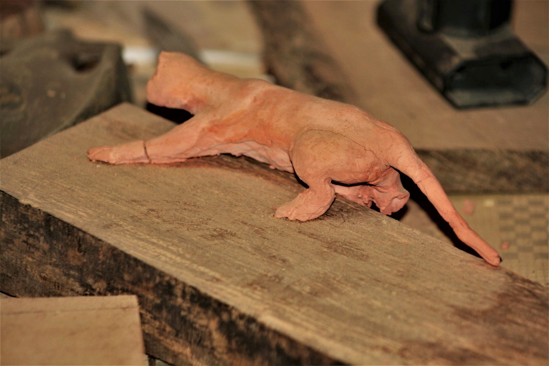 shaping wood cat model unique handmade sanisio artist design artisan custom made