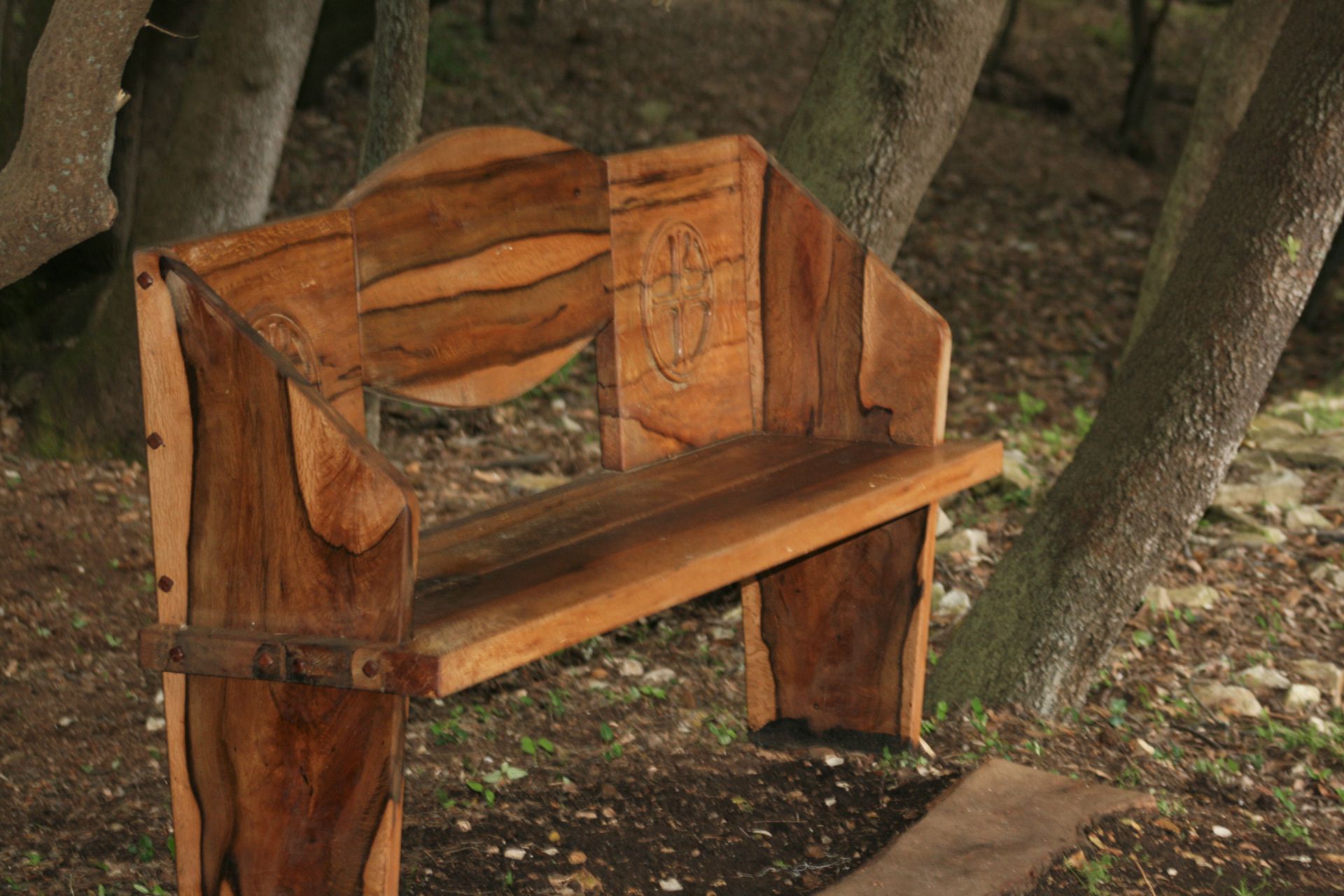 public areas Brijuni national park wooden bench holm oak wood basilica Istria Kastrum