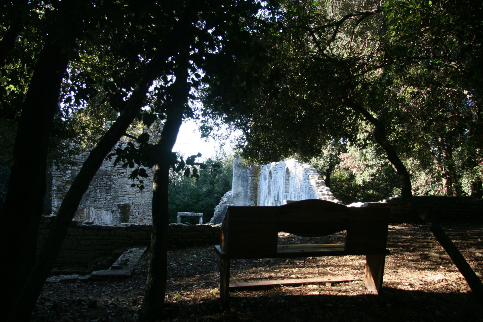 public areas Brijuni national park basilica Istria holm oak wood view