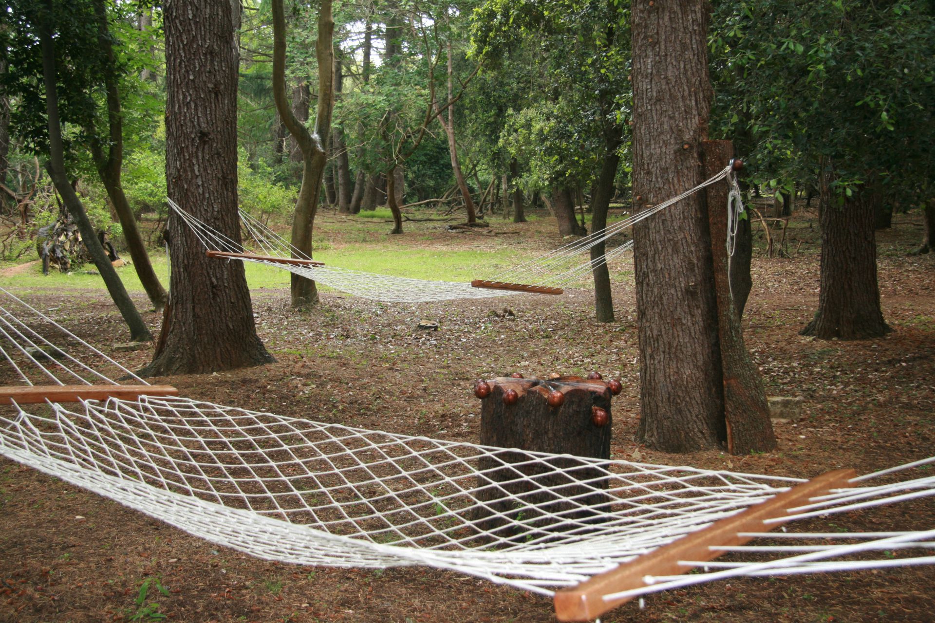 public areas Brijuni national park hammocks
